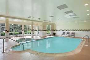 Hilton Garden Inn Chicago / Oak Brook - Piscine