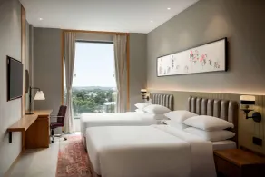 Ramada By Wyndham Ranchi - Vue de la chambre