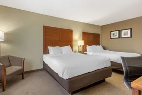 Comfort Inn & Suites Charleston Airport Convention Center - Chambre