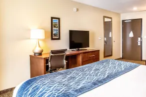 Comfort Inn & Suites Niagara Falls Blvd USA - Chambre