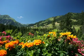 IFA Alpenhof Wildental Hotel Kleinwalsertal Adults only - Chambre