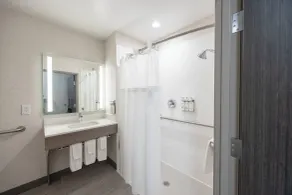 Holiday Inn Express & Suites Columbus - Polaris, an IHG Hotel - Badezimmer