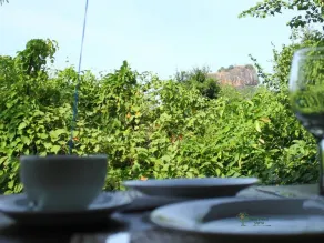 The Thick Forest - Restaurant