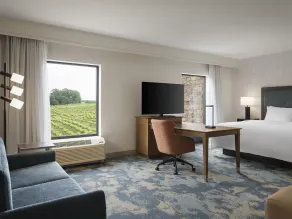 Hampton Inn & Suites Braselton - Habitación