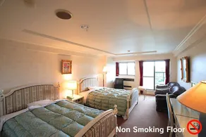 HOTEL GREENHILL OTAKI - Camera