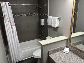Red Roof Inn Birmingham - Badezimmer