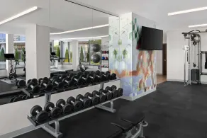 Hyatt Place Atlanta/Perimeter Center - Salle de remise en forme