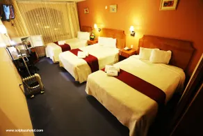 Sol Plaza Hotel - Room