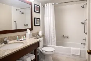 Comfort Inn Farmington Hills - Novi-Royal oaks-Southfield-Detroit Northwest - Salle de bain