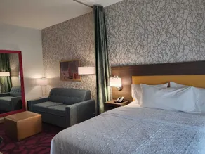 Home2 Suites by Hilton Dallas Medical District Lovefield - Room