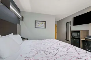 SureStay Plus Hotel by Best Western Sevierville - Chambre