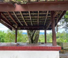 Hotel O Lotus Guest House - Rezeption