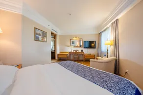 Hotel Silverland - Room