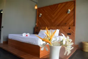 Mango Tree Villa Bentota - Camera