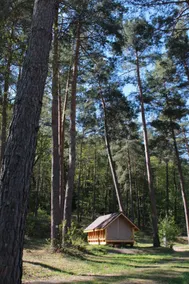 Camping Osenbach - Udsigt fra værelset