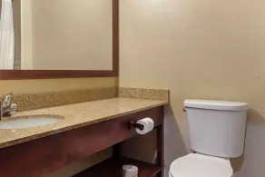Comfort Inn Hobart-Merrillville I-65 - Salle de bain