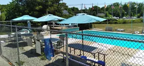 Pineapple Inn - Piscina