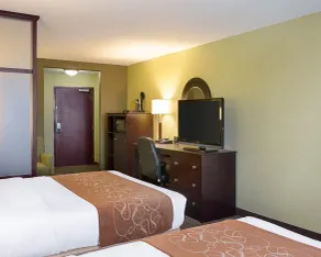 Comfort Suites Harvey - New Orleans West - Chambre