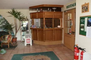 Müritz Landhotel Grüner Baum - Resepsjon