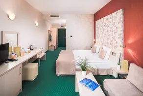 Park & Spa Hotel Markovo - Room