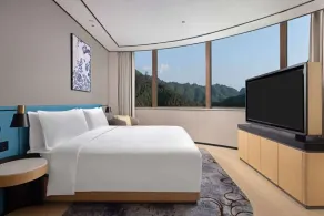 Hilton Garden Inn Jingdezhen Taoyuan Valley - Habitación