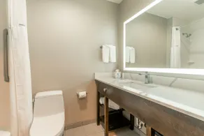 Hotel Aluxor SFO, Shuttle Service - Salle de bain