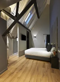 Hotel Parada Puigcerda - Room