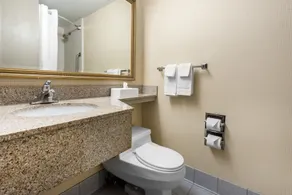 Quality Inn & Suites Charleston - Civic Center - Salle de bain