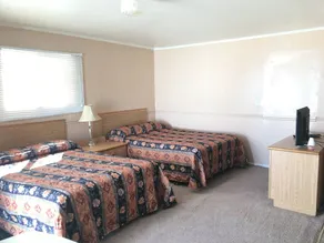 Bluebird Motel - Camera