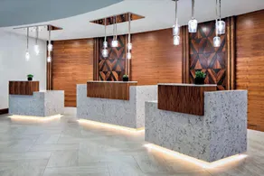 Marriott Dallas Las Colinas - Réception