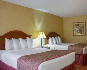 Rodeway Inn Columbia Mall Loop - Chambre