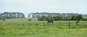 The Barn Accommodation - Ausblick vom Zimmer