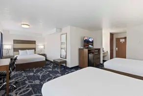 Best Western Plus Twin Falls Hotel - Chambre