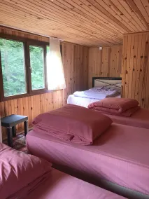 Ayder Selale Dag Evi - Camera
