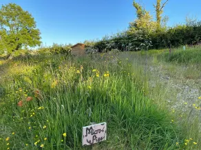 Frowen Fields Eco Glamping and Camping - Chambre