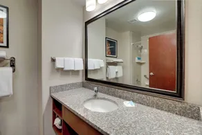 Drury Plaza Hotel Mt Vernon - Salle de bain