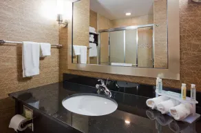 Holiday Inn Express and Suites Rochester West-Medical Center by IHG - Salle de bain