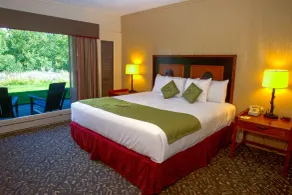 Jackson Lake Lodge - Vue de la chambre