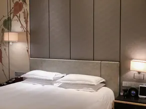Cheery Dragon Canal Hotel Hangzhou - Intangible Cultural Heritage Hotel - Vue de la chambre