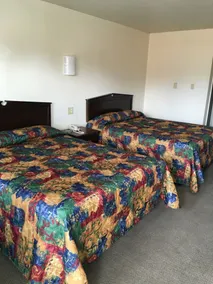 University Lodge Motel - Chambre