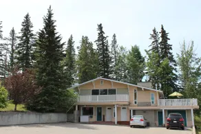 Pines Motel - Reception