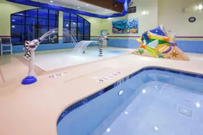 Holiday Inn Express Hotel & Suites Rogers by IHG - Pool