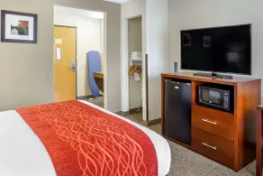 Comfort Inn Hoffman Estates - Schaumburg - Room