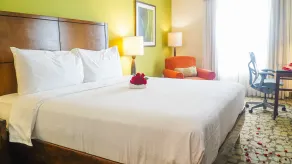Hilton Garden Inn Panama City Downtown, Panama - Room