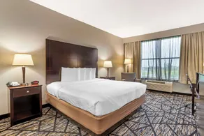Best Western Plus Hobby Airport Inn & Suites - Chambre