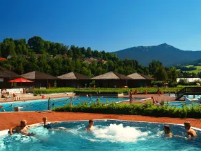 Bayerische Gastwirtschaft Dimpfl-Stadl - Piscina