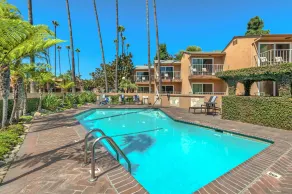 Best Western Pine Tree Motel - Piscine