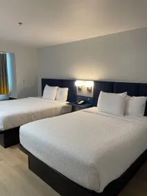 Microtel Inn and Suites Baton Rouge Airport - Chambre