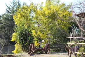 Agriturismo I Casamenti - Utsikt fra rommet