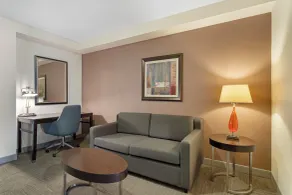 Hilton Garden Inn Houston NW America Plaza - Room